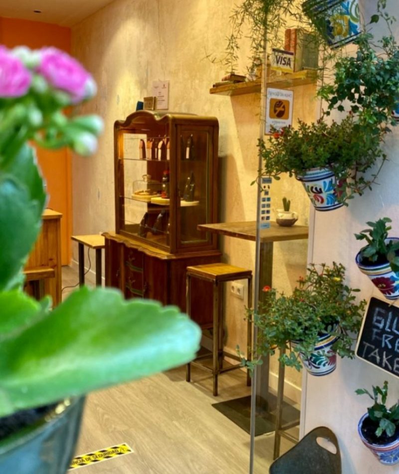 Alter-café-aracena-y-plantas-742x1024